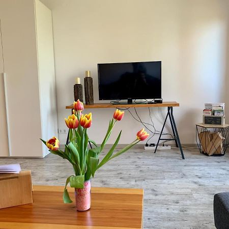 Luchsbutze Apartment ซังคท์อันเดรอัสแบร์ก ภายนอก รูปภาพ