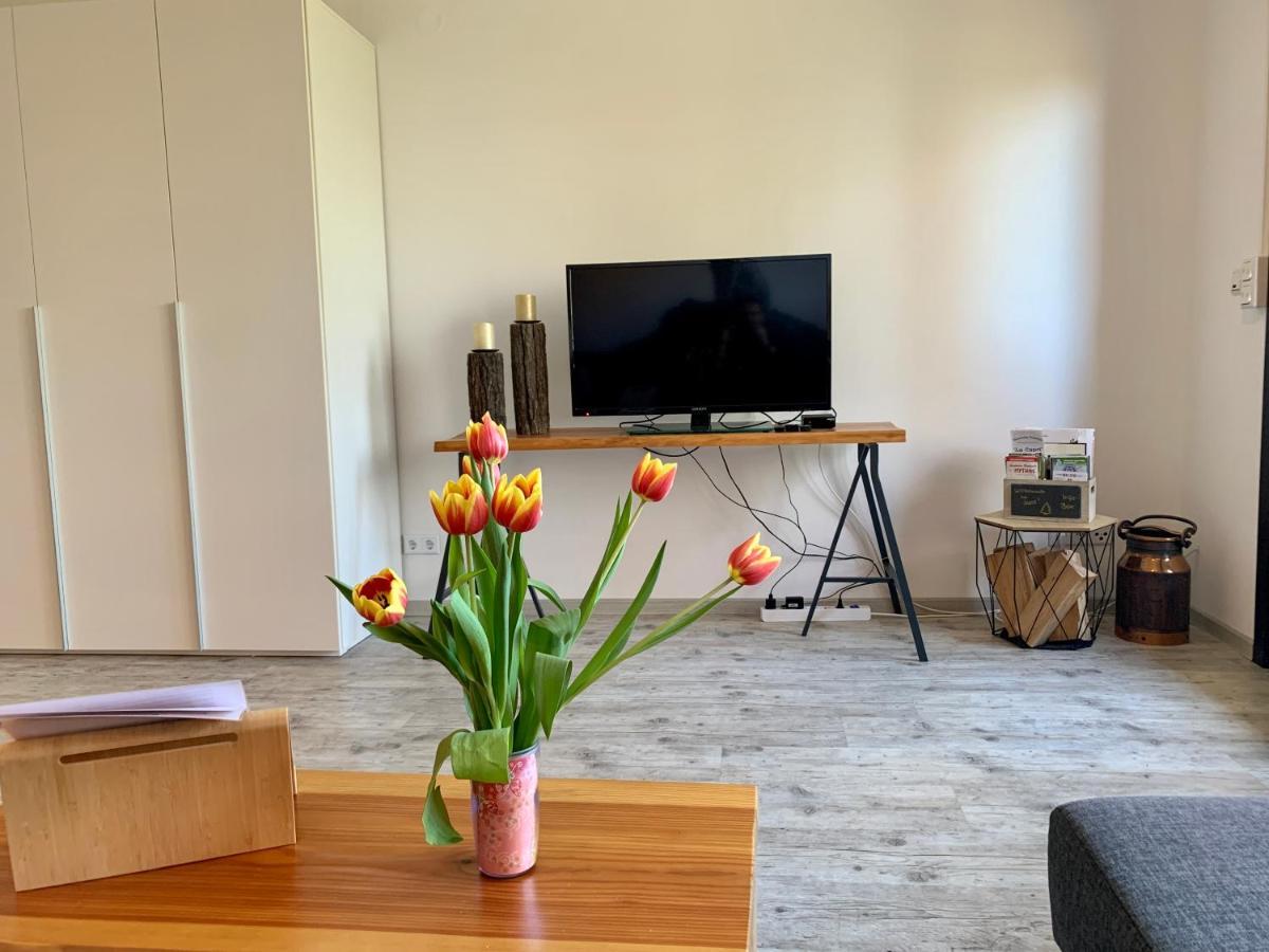 Luchsbutze Apartment ซังคท์อันเดรอัสแบร์ก ภายนอก รูปภาพ